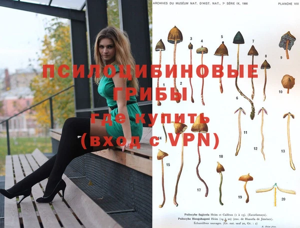 jwh Верхний Тагил