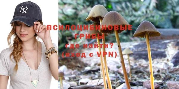 первитин Верея