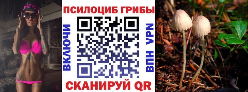 наркошоп  Рыбинск  Псилоцибиновые грибы Cubensis 